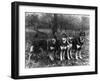 German Shepherd Dogs-Thomas Fall-Framed Photographic Print