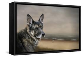 German Shepherd Dreaming of the Beach-Jai Johnson-Framed Stretched Canvas