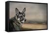 German Shepherd Dreaming of the Beach-Jai Johnson-Framed Stretched Canvas