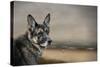 German Shepherd Dreaming of the Beach-Jai Johnson-Stretched Canvas