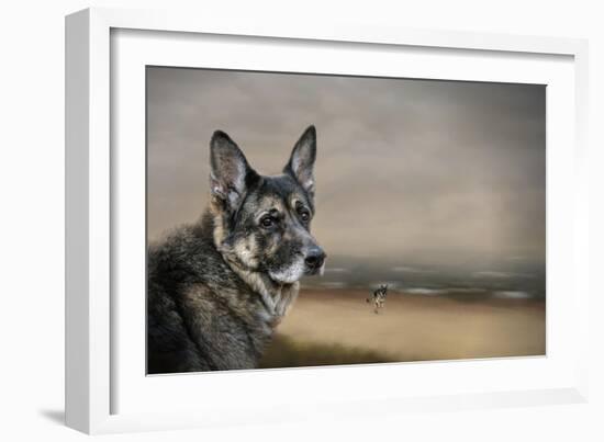 German Shepherd Dreaming of the Beach-Jai Johnson-Framed Giclee Print