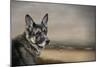 German Shepherd Dreaming of the Beach-Jai Johnson-Mounted Giclee Print