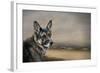 German Shepherd Dreaming of the Beach-Jai Johnson-Framed Giclee Print