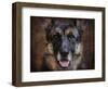 German Shepherd Face-Jai Johnson-Framed Giclee Print