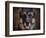 German Shepherd Face-Jai Johnson-Framed Giclee Print