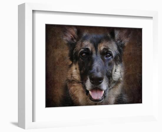 German Shepherd Face-Jai Johnson-Framed Giclee Print