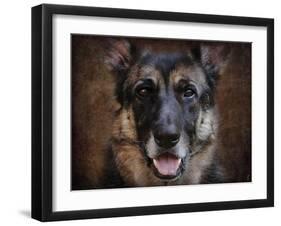 German Shepherd Face-Jai Johnson-Framed Giclee Print