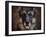 German Shepherd Face-Jai Johnson-Framed Giclee Print