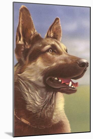 German Shepherd Head-null-Mounted Art Print