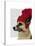 German Shepherd in Red Woolly Hat-Fab Funky-Stretched Canvas