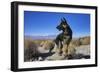 German Shepherd in the Coachella Valley, California-Zandria Muench Beraldo-Framed Photographic Print