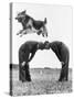 German Shepherd Jumping during Military Training-null-Stretched Canvas