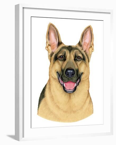 German Shepherd Portrait-Tomoyo Pitcher-Framed Giclee Print