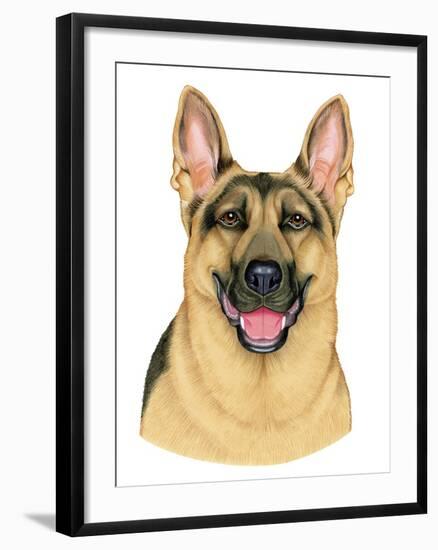 German Shepherd Portrait-Tomoyo Pitcher-Framed Giclee Print