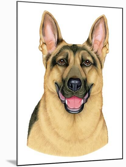 German Shepherd Portrait-Tomoyo Pitcher-Mounted Giclee Print