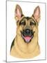 German Shepherd Portrait-Tomoyo Pitcher-Mounted Giclee Print