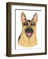 German Shepherd Portrait-Tomoyo Pitcher-Framed Giclee Print