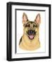 German Shepherd Portrait-Tomoyo Pitcher-Framed Giclee Print