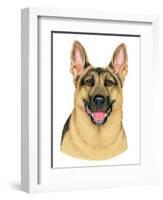 German Shepherd Portrait-Tomoyo Pitcher-Framed Giclee Print