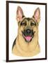 German Shepherd Portrait-Tomoyo Pitcher-Framed Premium Giclee Print