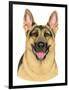 German Shepherd Portrait-Tomoyo Pitcher-Framed Premium Giclee Print