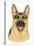 German Shepherd Portrait-Tomoyo Pitcher-Stretched Canvas