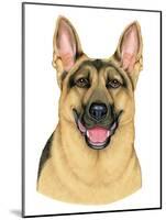 German Shepherd Portrait-Tomoyo Pitcher-Mounted Giclee Print