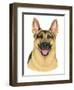 German Shepherd Portrait-Tomoyo Pitcher-Framed Premium Giclee Print