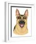 German Shepherd Portrait-Tomoyo Pitcher-Framed Premium Giclee Print