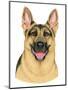 German Shepherd Portrait-Tomoyo Pitcher-Mounted Premium Giclee Print