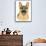 German Shepherd Portrait-Tomoyo Pitcher-Mounted Giclee Print displayed on a wall