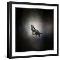 German Shepherd Puppy Feet First-Jai Johnson-Framed Giclee Print