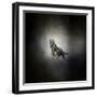 German Shepherd Puppy Feet First-Jai Johnson-Framed Giclee Print