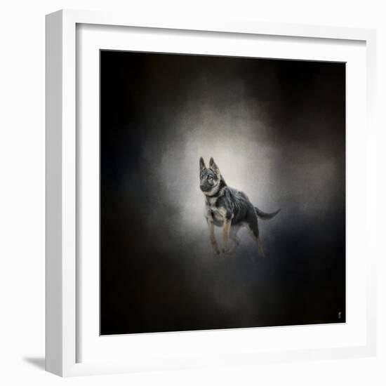 German Shepherd Puppy Feet First-Jai Johnson-Framed Giclee Print