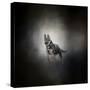 German Shepherd Puppy Feet First-Jai Johnson-Stretched Canvas