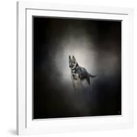 German Shepherd Puppy Feet First-Jai Johnson-Framed Giclee Print