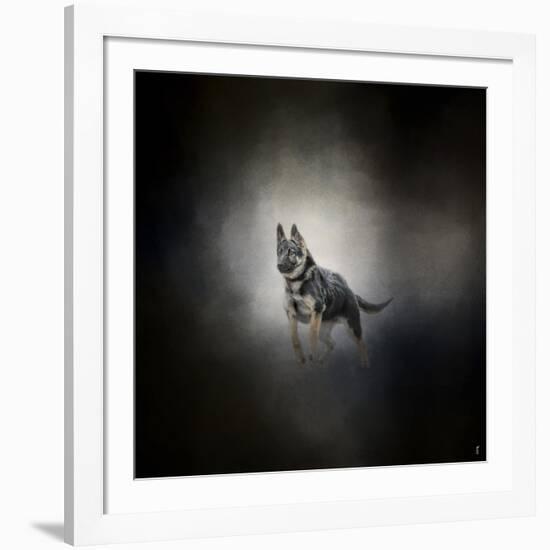 German Shepherd Puppy Feet First-Jai Johnson-Framed Giclee Print