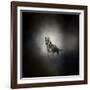 German Shepherd Puppy Feet First-Jai Johnson-Framed Giclee Print