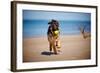 German Shepherd Puppy on the Beach-ots-photo-Framed Photographic Print