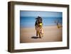 German Shepherd Puppy on the Beach-ots-photo-Framed Photographic Print