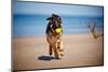 German Shepherd Puppy on the Beach-ots-photo-Mounted Photographic Print