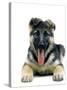 German Shepherd-null-Stretched Canvas