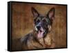 German Shepherd-Jai Johnson-Framed Stretched Canvas