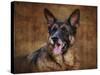 German Shepherd-Jai Johnson-Stretched Canvas