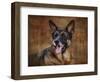 German Shepherd-Jai Johnson-Framed Premium Giclee Print