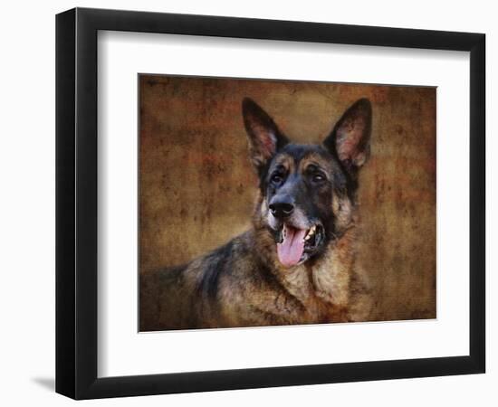 German Shepherd-Jai Johnson-Framed Premium Giclee Print