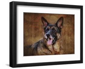 German Shepherd-Jai Johnson-Framed Premium Giclee Print