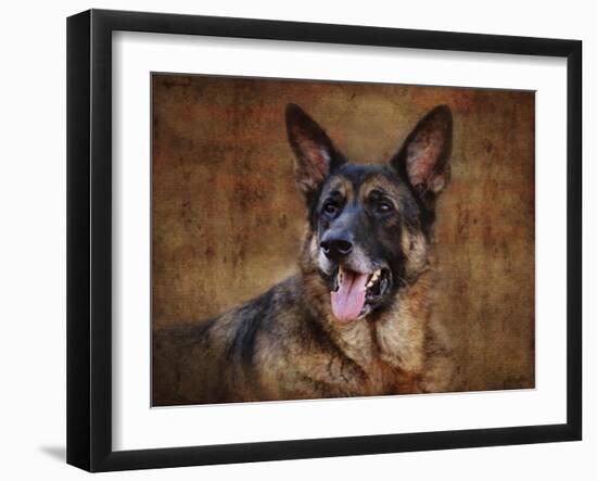 German Shepherd-Jai Johnson-Framed Giclee Print