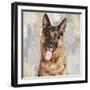 German Shepherd-Keri Rodgers-Framed Art Print