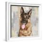 German Shepherd-Keri Rodgers-Framed Art Print